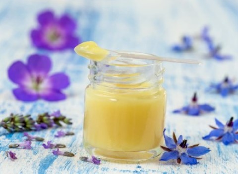 تصویر 2 از قیمت خرید ژل رویال عسل + فروش ویژه